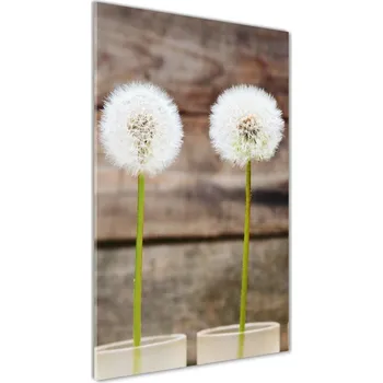 Obraz Vertikální Foto obraz sklo tvrzené Pampelišky