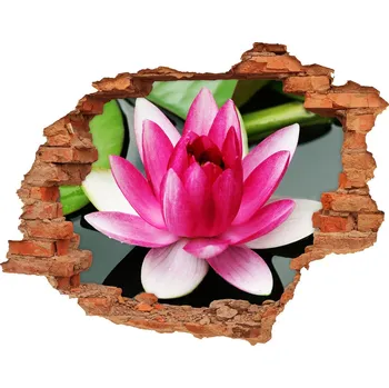 Fototapeta Samolepící nálepka fototapeta Vodní lilie