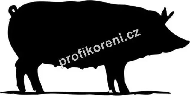 PROFIKORENI - Vepřová střeva zasolená kalibr 32/34 EU svazek 91,4 m (Přírodní střívka na párky, klobásy, apod.)