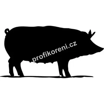 Potravinová fólie PROFIKORENI Vepřová střeva zasolená kalibr 32/34 EU svazek 91,4 m