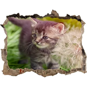 Fototapeta Díra 3D fototapeta nálepka Kočka s pampeliškou