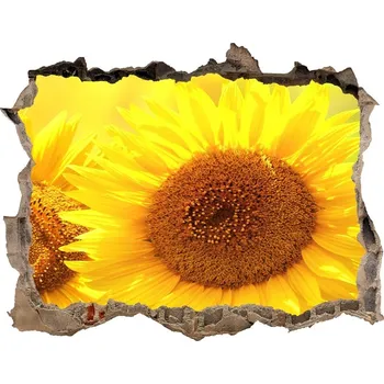 Fototapeta Samolepící nálepka na zeď Slunečníky