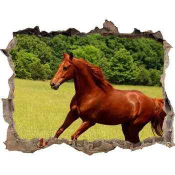 Fototapeta Díra 3D fototapeta na stěnu Kůň na louce