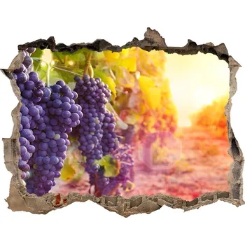 Fototapeta Samolepící nálepka beton Vinná réva