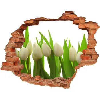 Fototapeta Samolepící nálepka na zeď Bílé tulipány