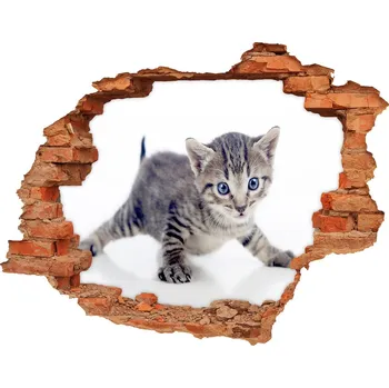 Fototapeta Samolepící díra nálepka Malá kočka