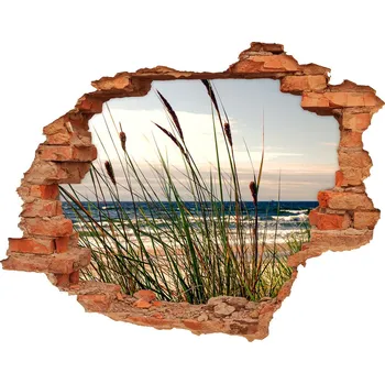 Fototapeta Díra 3D ve zdi nálepka Mořské duny