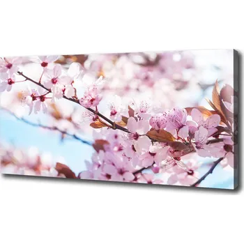 Obraz Foto obraz na plátně Květy višně