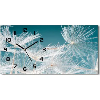 Hodiny Skleněné hodiny na stěnu Semena pampelišky