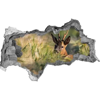Fototapeta Díra 3D fototapeta na stěnu Jelen na poli