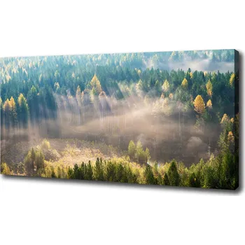 Obraz Foto obraz na plátně Mlha v lese