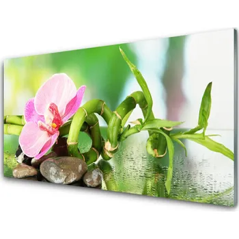 Obraz Obraz na skle Bambus Stonek Rostlina Příroda 125x50 cm 2 Přívěsky