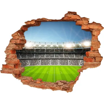 Fototapeta Samolepící díra na stěnu nálepka Stadion