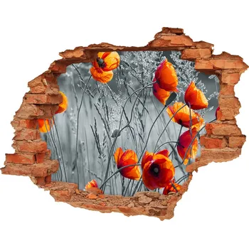 Fototapeta Samolepící nálepka Polné máky