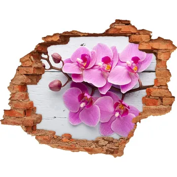 Fototapeta Samolepící nálepka Orchidej na stromě