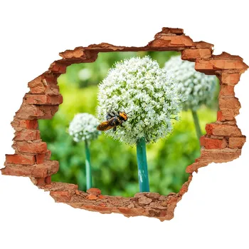 Fototapeta Samolepící díra na stěnu Kvetoucí česnek