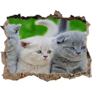 Fototapeta Díra 3D fototapeta nálepka Tři kočky na dece