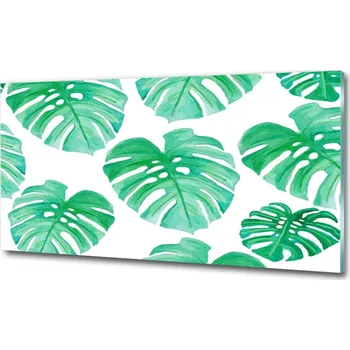 Obraz Foto obraz skleněný horizontální Monstera
