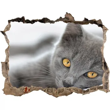 Fototapeta Díra 3D fototapeta nálepka Šedá kočka