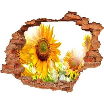 Fototapeta Samolepící díra nálepka Slunečníky