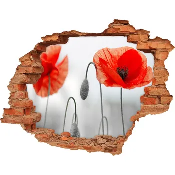 Fototapeta Samolepící nálepka na zeď fototapeta Máky