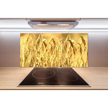 Obklad Skleněný panel do kuchyně Zboží