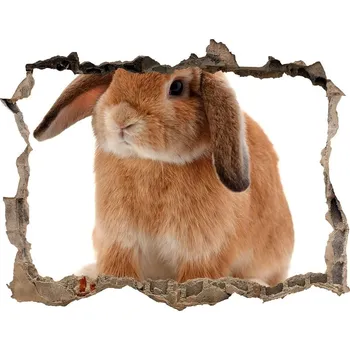 Fototapeta Díra 3D fototapeta nálepka Červený králík