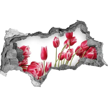 Fototapeta Samolepící nálepka Červené tulipány