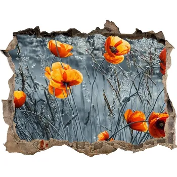 Fototapeta Samolepící nálepka na zeď Polní mák