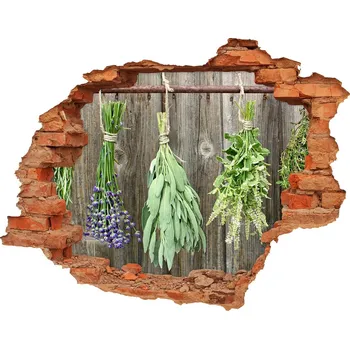 Fototapeta Nálepka 3D díra na zeď Bylinky na provázku