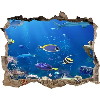 Fototapeta Díra 3D fototapeta nástěnná Korálový útes