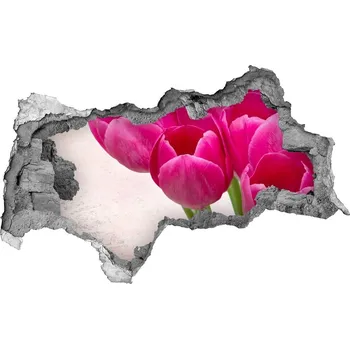 Fototapeta Samolepící díra na stěnu Růžové tulipány