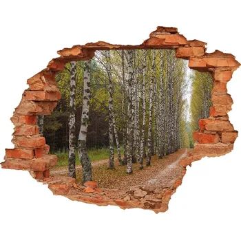 Fototapeta Díra 3D ve zdi nálepka Alej bříz