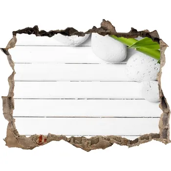 Fototapeta Samolepící díra na stěnu nálepka Bambus