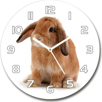 Hodiny Skleněné hodiny kulaté Červený králík