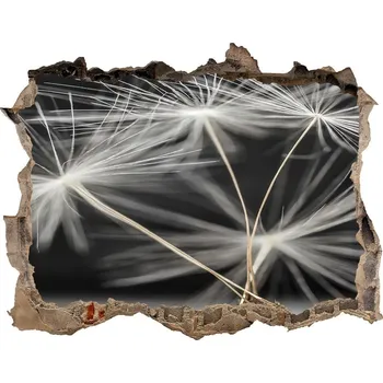 Fototapeta Samolepící díra nálepka Semena pampelišky