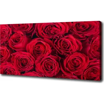 Obraz Foto obraz na plátně do obýváku Růže