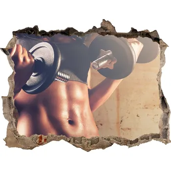 Fototapeta Fototapeta díra na zeď 3D Svaly