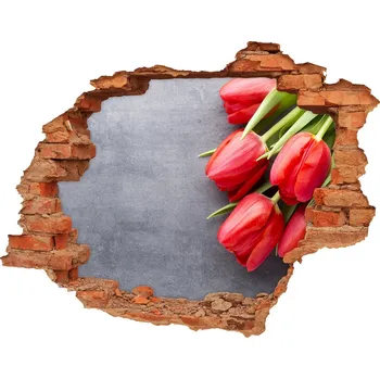 Fototapeta Samolepící díra na stěnu Červené tulipány