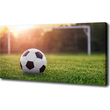 Obraz Foto obraz na plátně do obýváku Fotbal