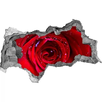 Fototapeta Samolepící nálepka na zeď Květ růží