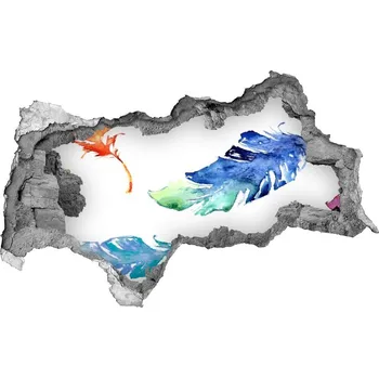 Fototapeta Díra 3D fototapeta nálepka Barevné pírka