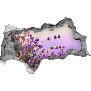 Fototapeta Samolepící díra na stěnu nálepka Levandule