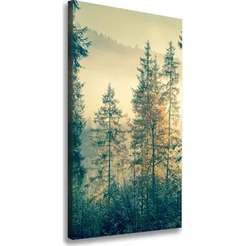 Obraz Vertikální Foto obraz na plátně Mlha nad lesem