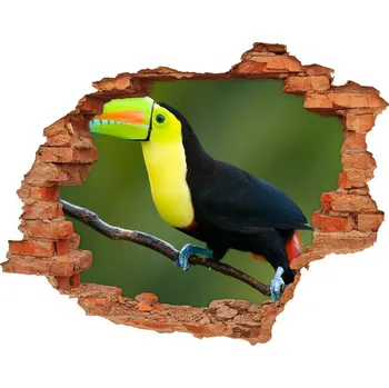 Fototapeta Díra 3D fototapeta na stěnu nálepka Tukan