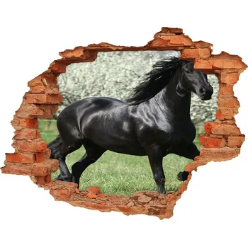 Fototapeta Díra 3D fototapeta na stěnu Černý kůň květiny