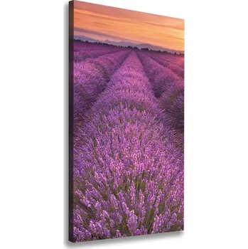 Obraz Vertikální Foto obraz canvas Pole levandule