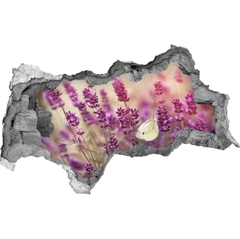 Fototapeta Samolepící díra nálepka beton Levandule