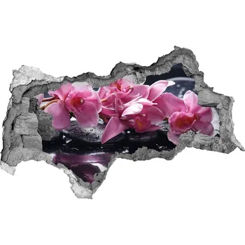 Fototapeta Samolepící nálepka na zeď Růžová orchidej