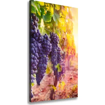Obraz Vertikální Moderní obraz canvas na rámu Vinice